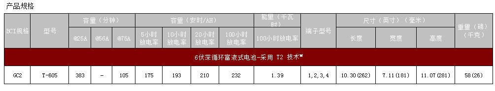 邱健T605规格